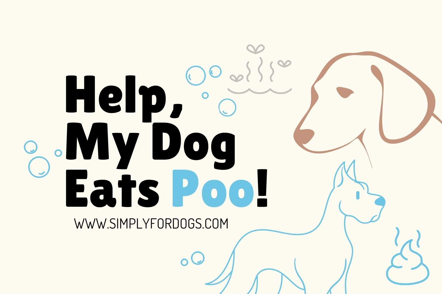 Help-My-Dog-Eats-Poo!