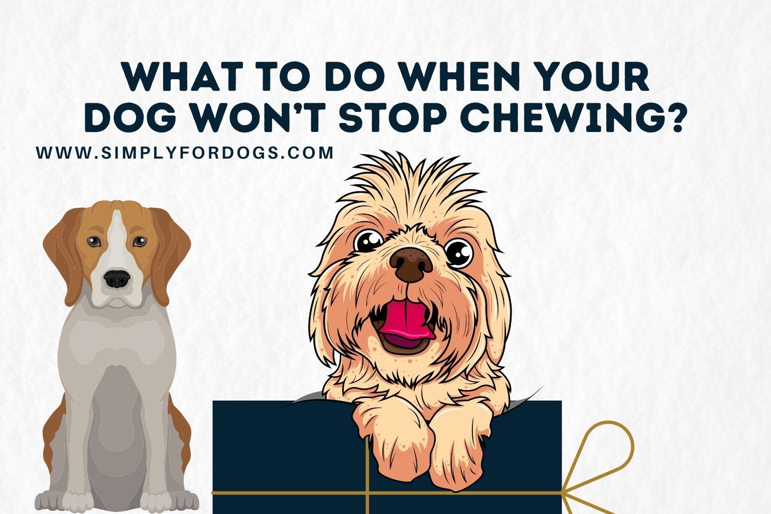 What-to-Do-When-Your-Dog-Won’t-Stop-Chewing