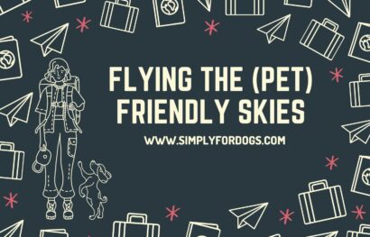 Flying the (Pet) Friendly Skies