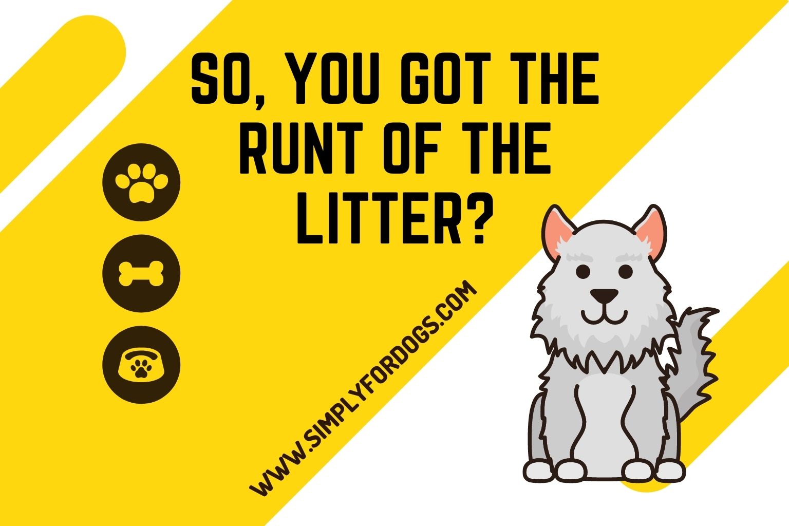 So, You Got the Runt of the Litter_