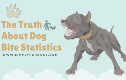 The-Truth-About-Dog-Bite-Statistics