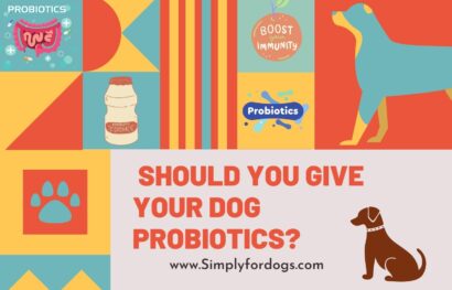 Should-You-Give-Your-Dog-Probiotics