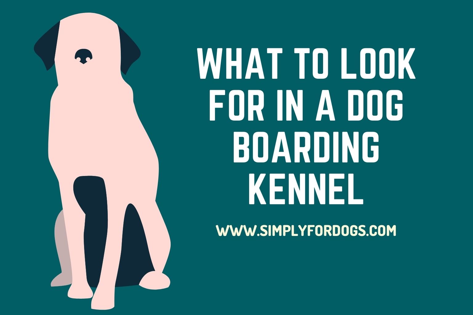What to Look for in a Dog Boarding Kennel