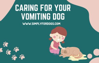 Caring for Your Vomiting Dog