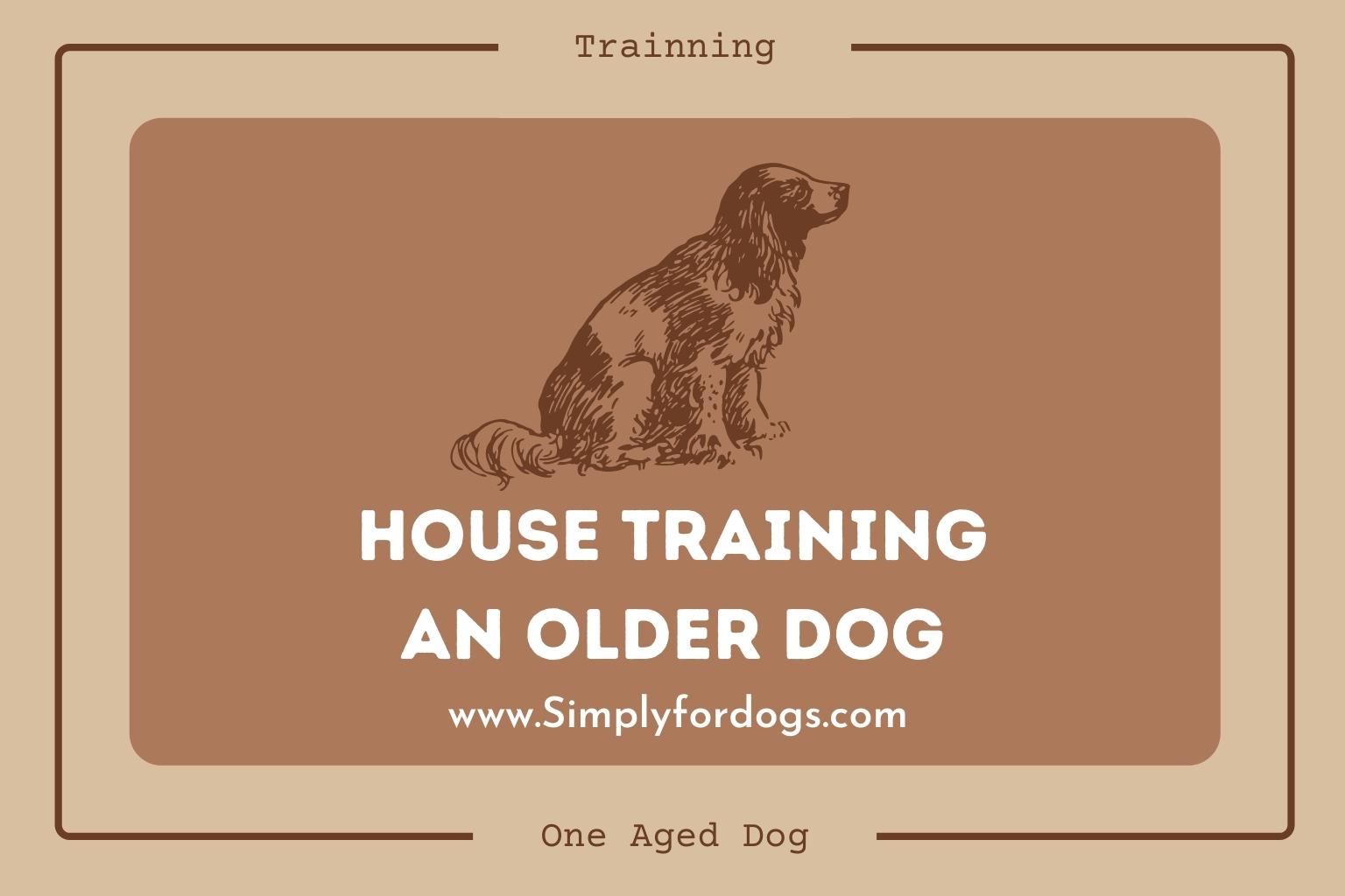 House-Training-an-Older-Dog