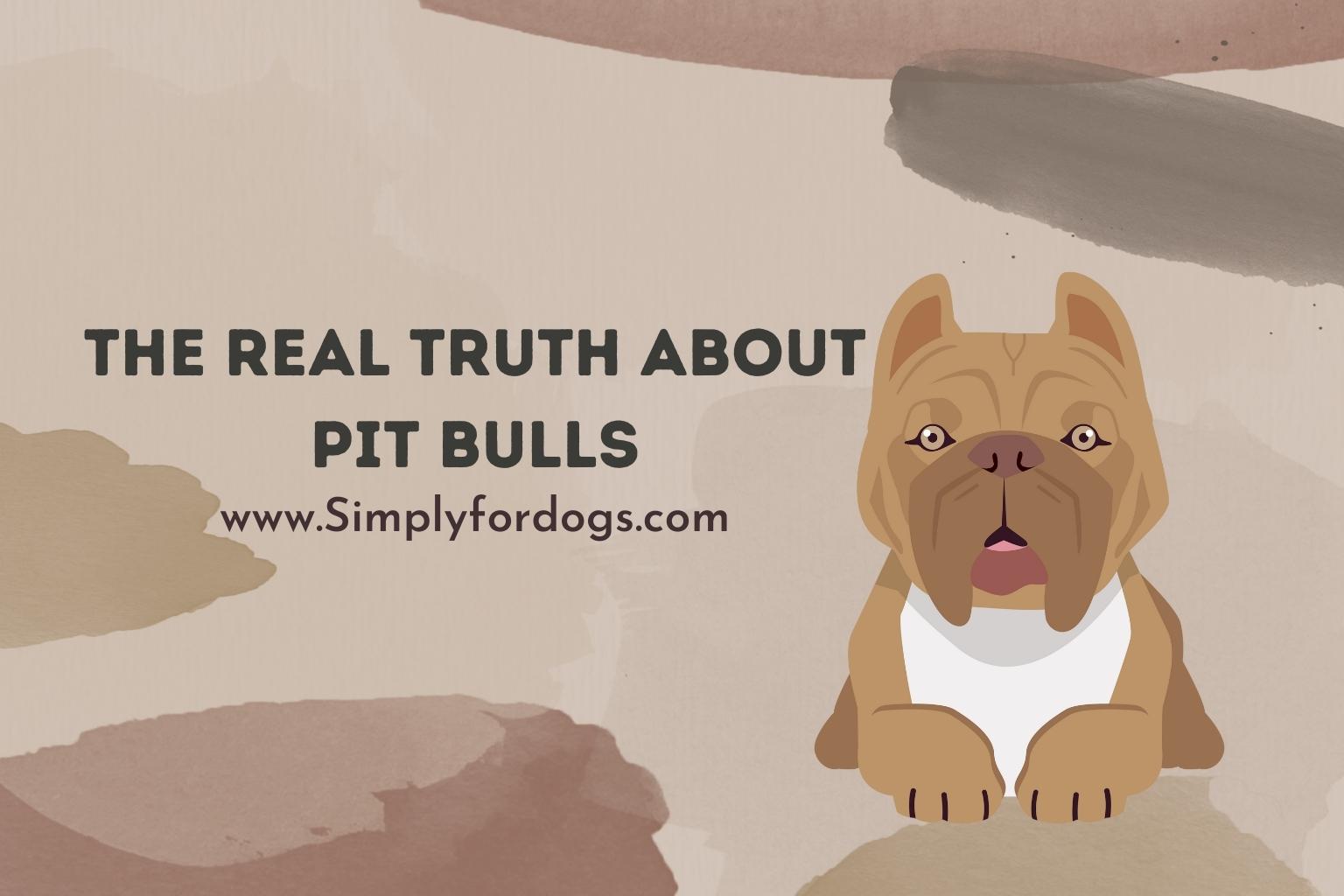 The-Real-Truth-About-Pit-Bulls