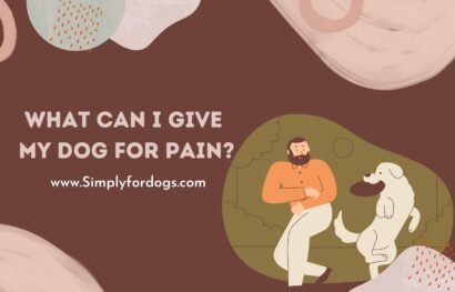 ﻿What-Can-I-Give-My-Dog-for-Pain