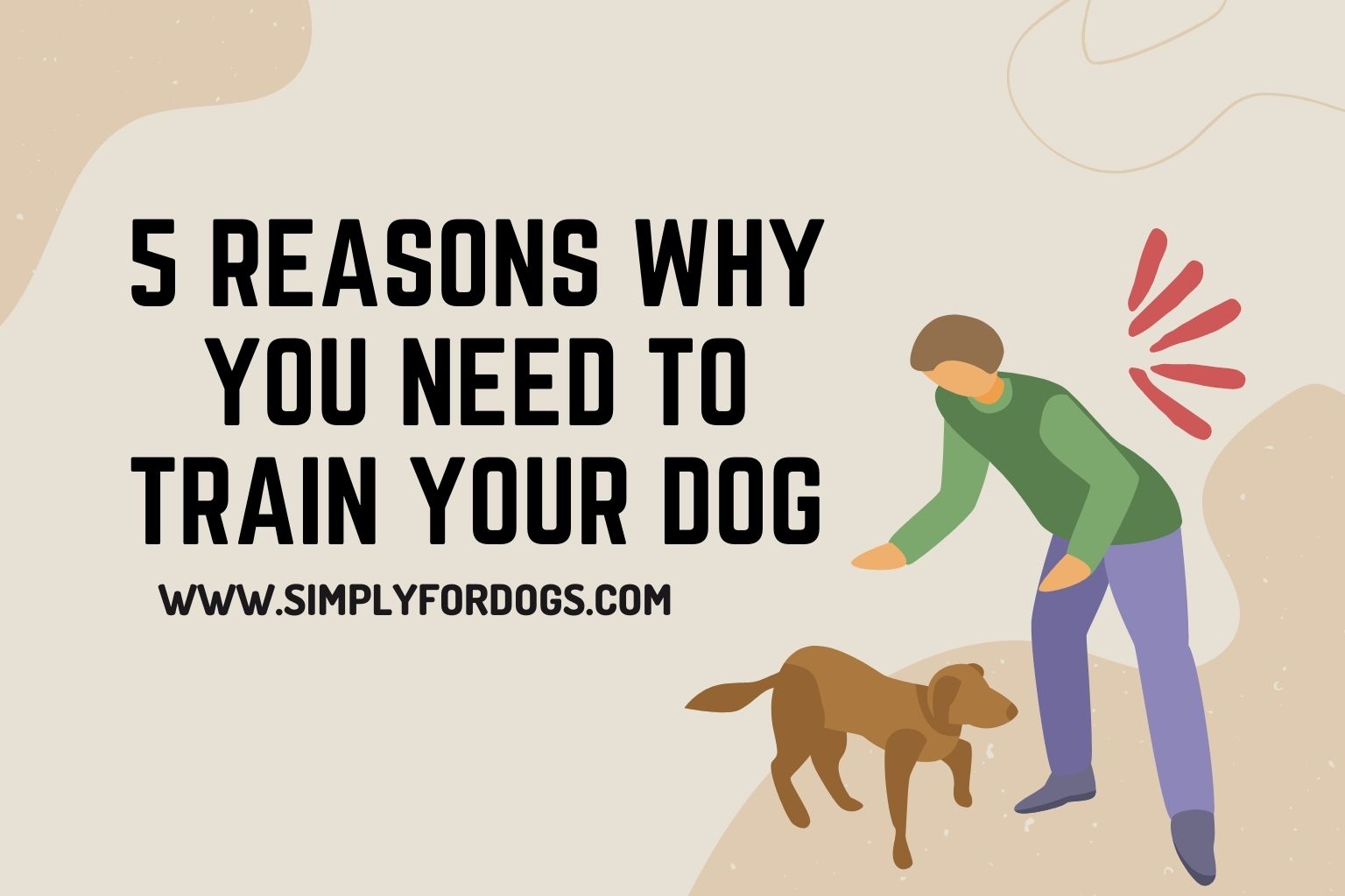 5 Reasons Why You Need to Train Your Dog