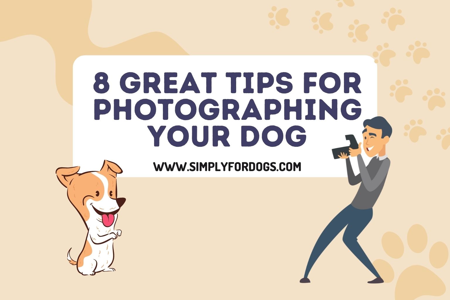 8 Great Tips for Photographing Your Dog