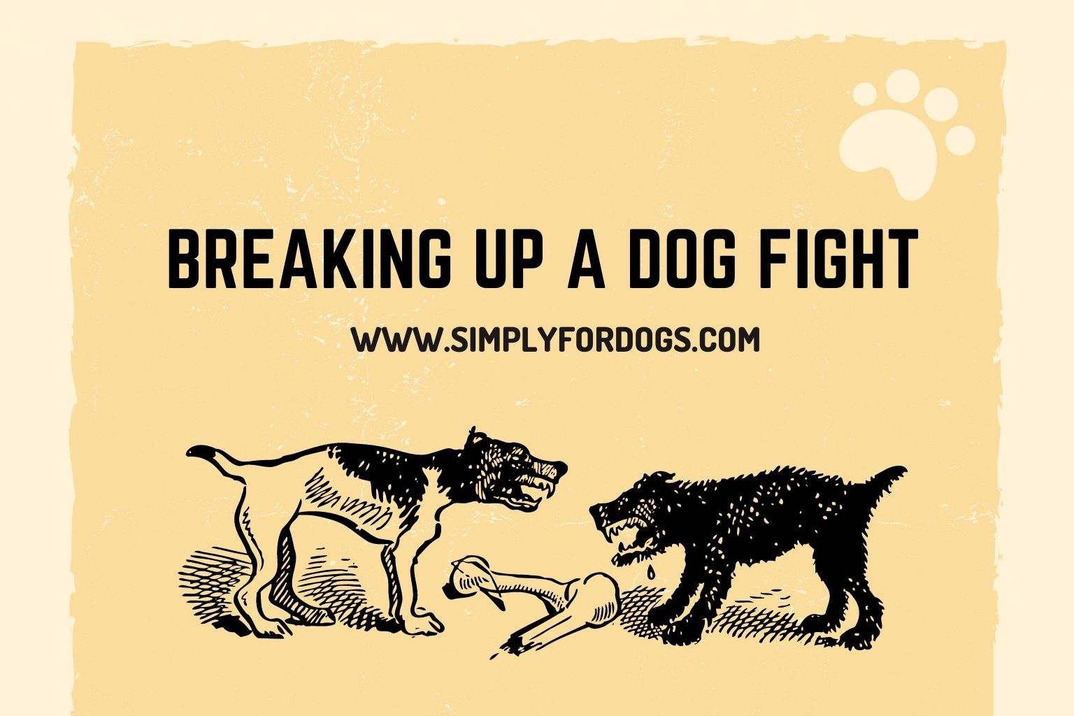 Breaking up a Dog Fight