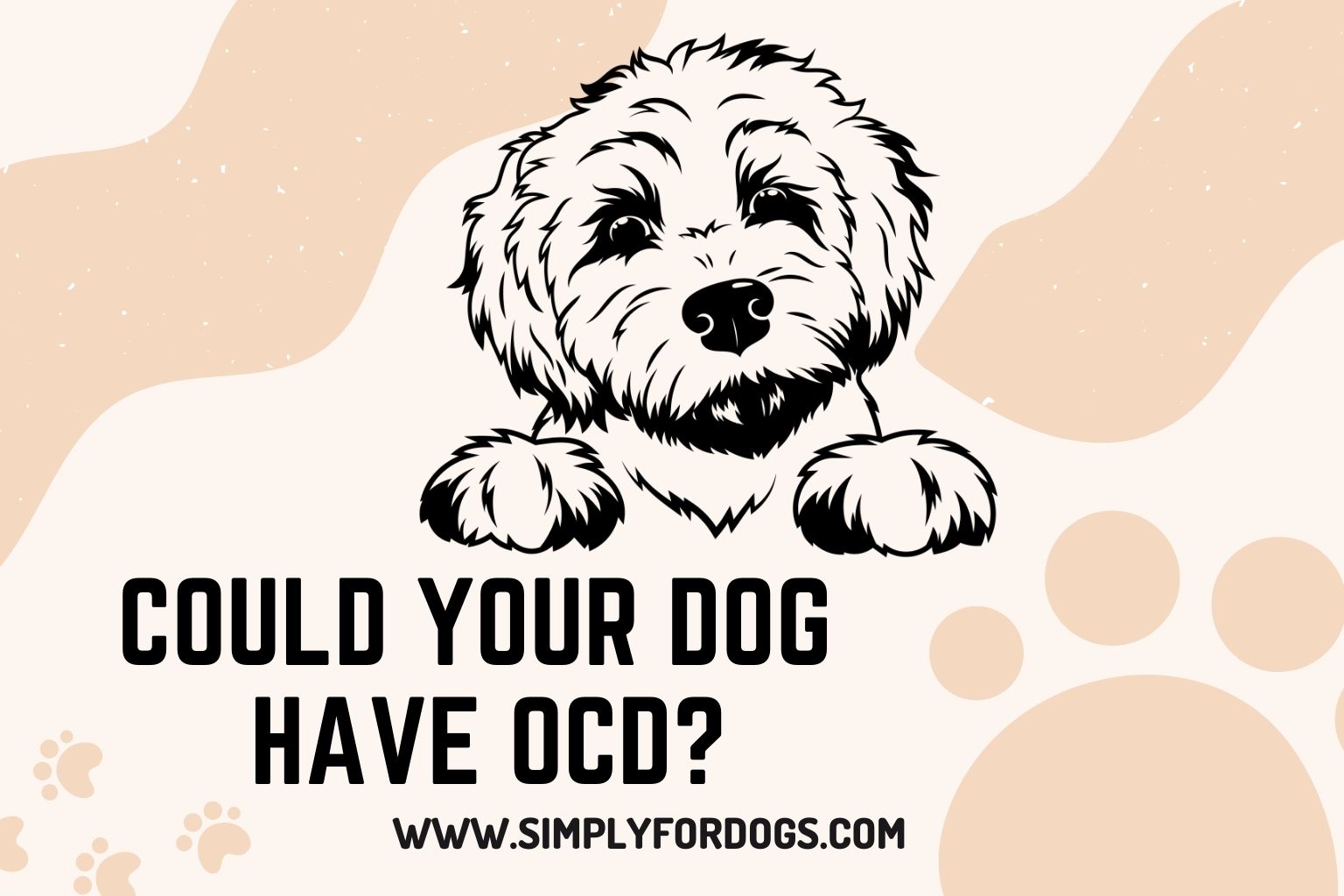 Could Your Dog Have OCD