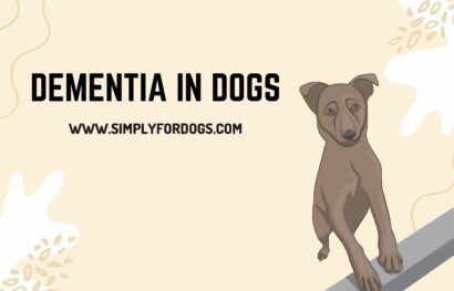 Dementia in Dogs