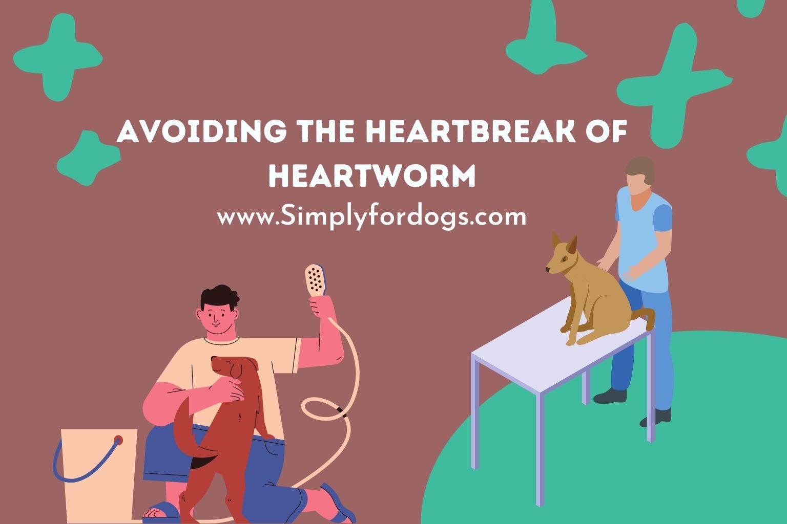 Dog-Heartworm