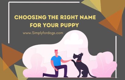Dog-Name