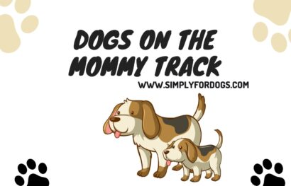 Dogs on the Mommy Track