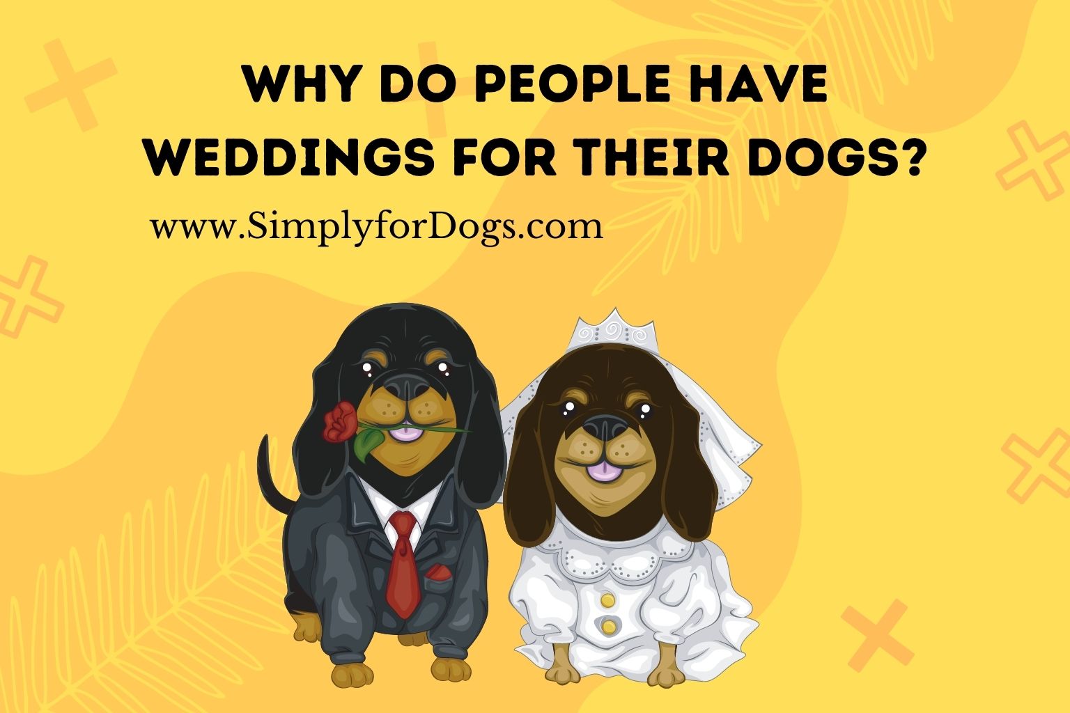 Why Do People Have Weddings for Their Dogs