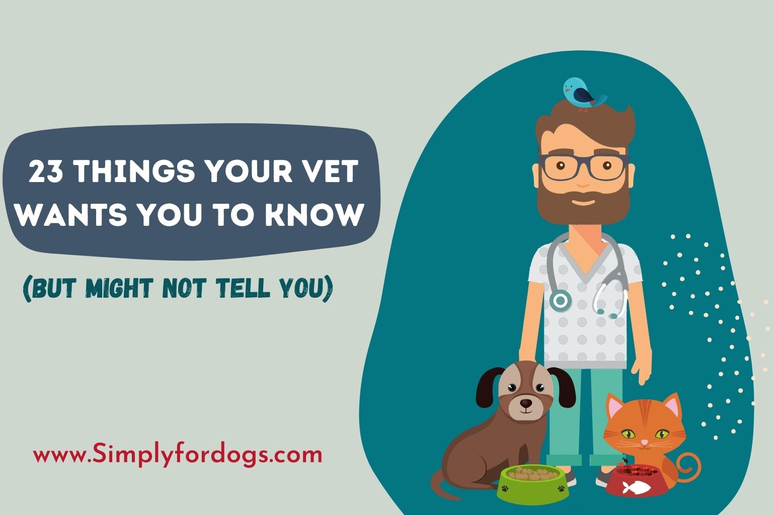 23 Things Your Vet Wants You to Know (But Might Not Tell You)