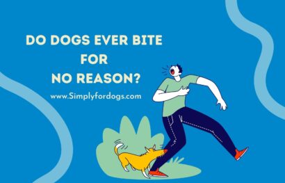 Do-Dogs-Ever-Bite