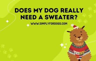 Does My Dog Really Need a Sweater_
