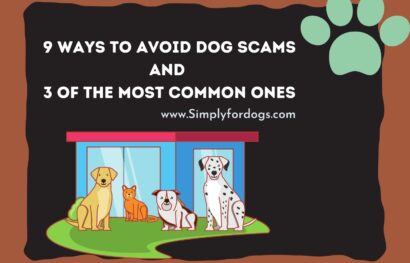 Dog-Scams