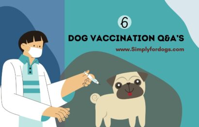Dog-Vaccination
