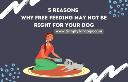 Free-Feeding-May-Not-Be-Right-for-Your-Dog