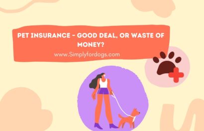 Pet-Insurance