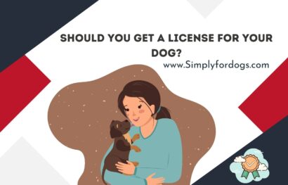 Should You Get a License for Your Dog