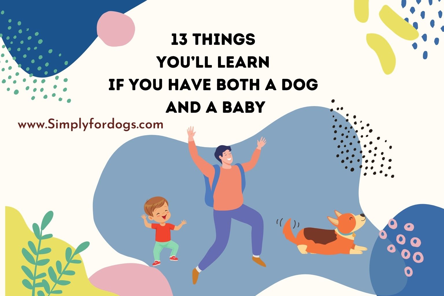 You'll-Learn-if-You-Have-Both-a-Dog-and-a-Baby