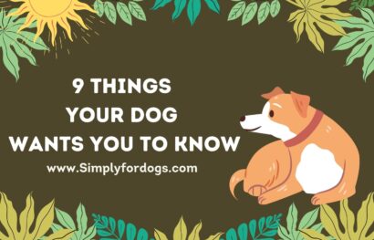 Your-Dog-Wants-You-to-Know