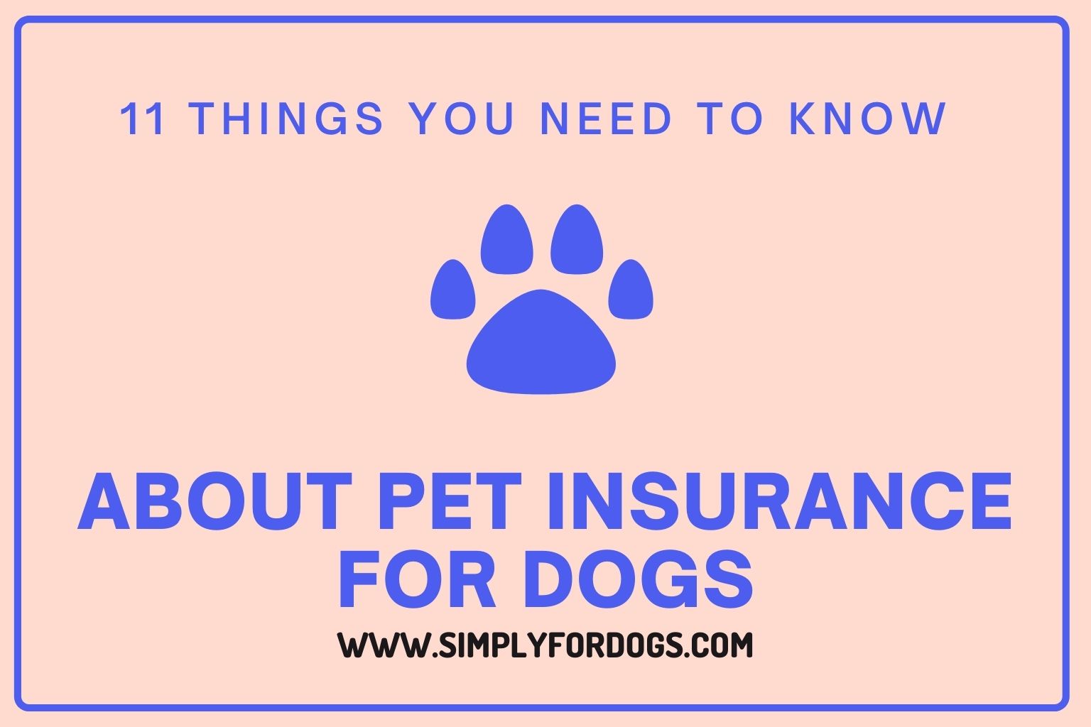 11 Things You Need to Know About Pet Insurance for Dogs