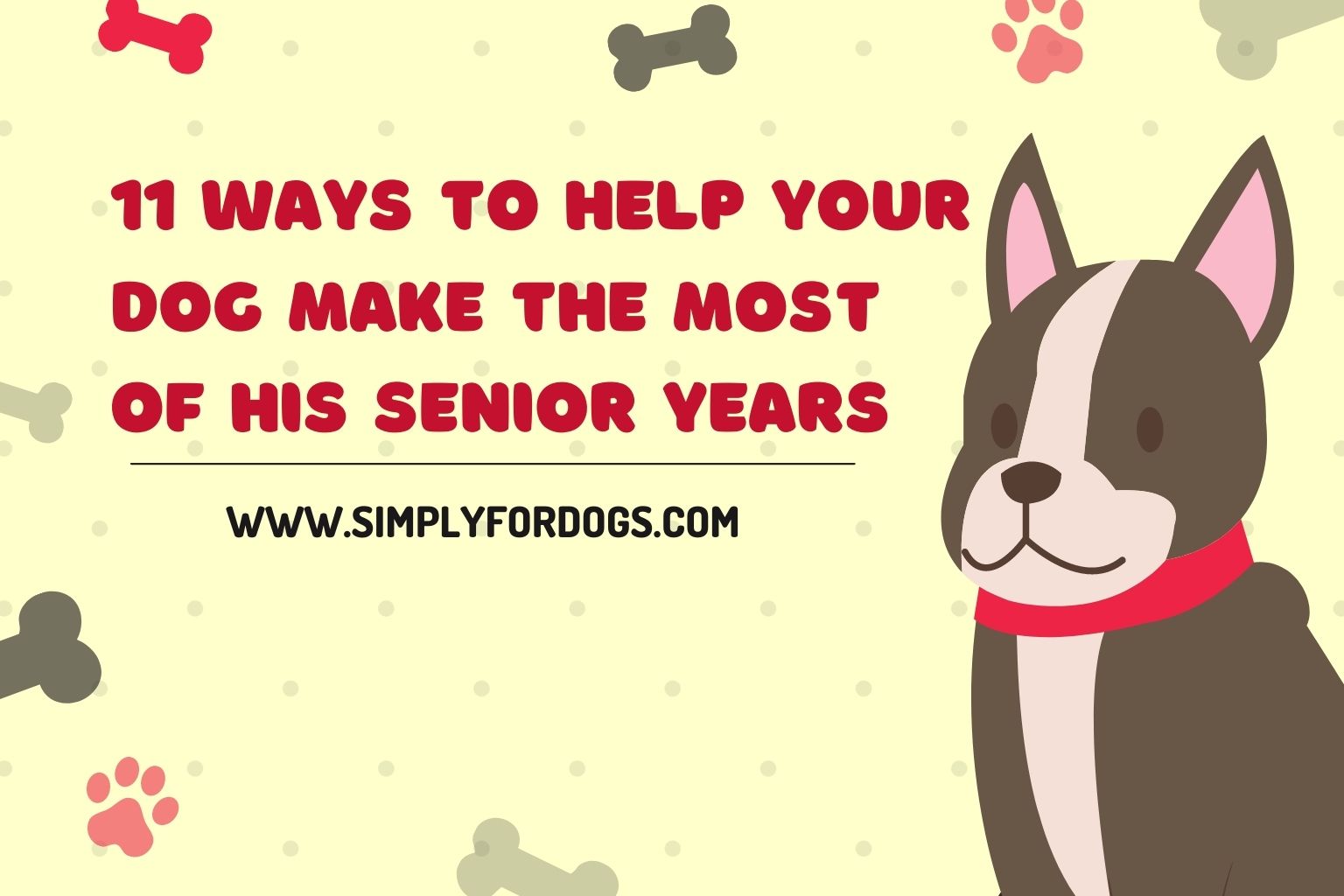 11 Ways to Help Your Dog Make the Most of His Senior Years