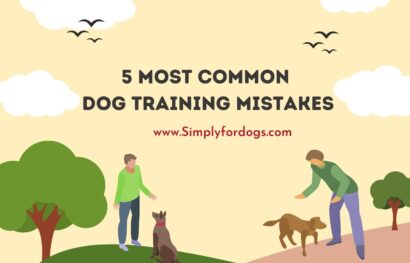 5 Most Common Dog Training Mistakes