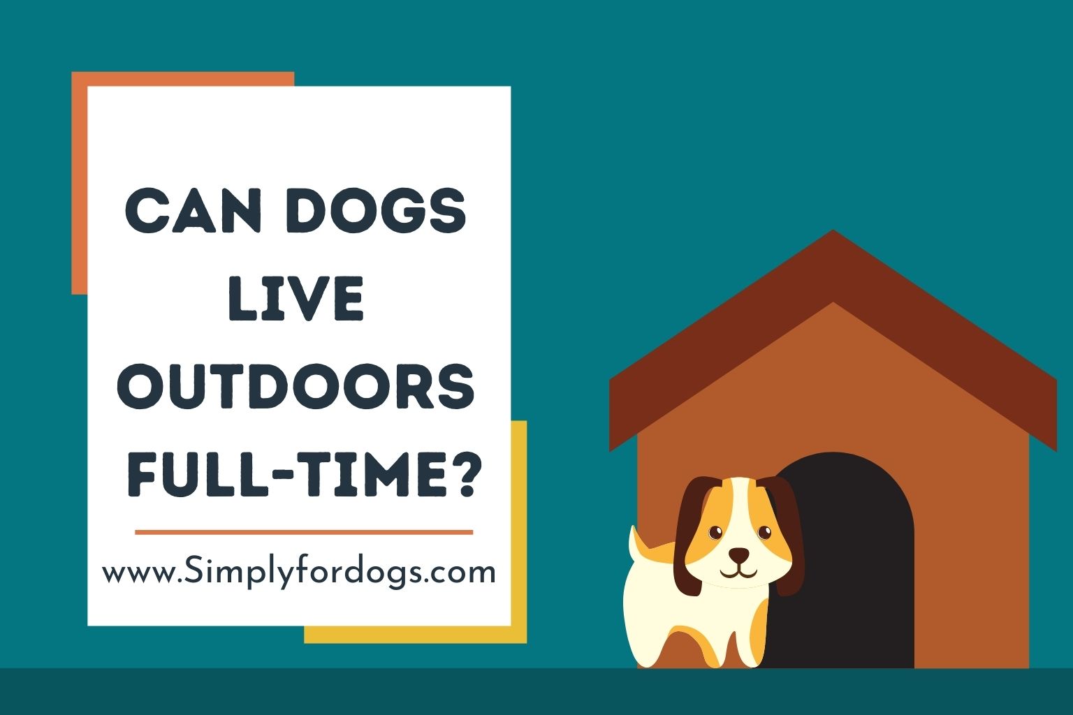 Can Dogs Live Outdoors Full-Time