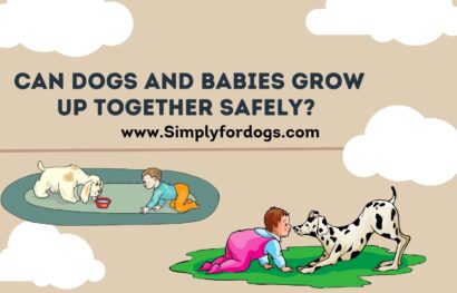 Can Dogs and Babies Grow Up Together Safely