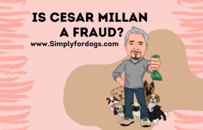 Cesar-Millan-Fraud