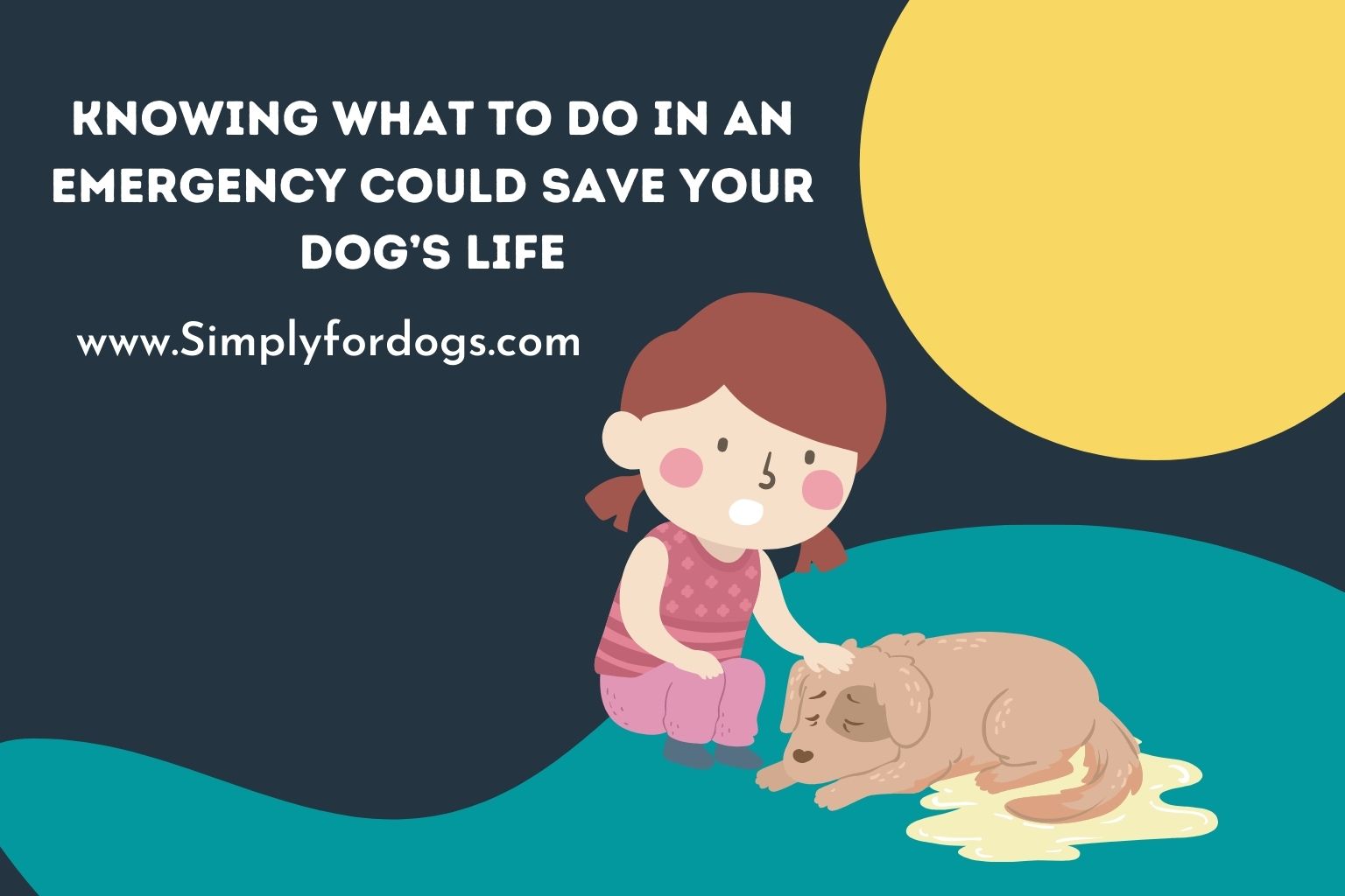 Dog-Emergency