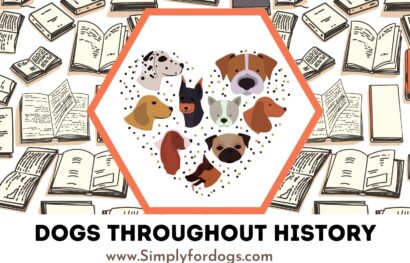Dogs-History