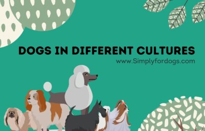 Dogs-different-cultures