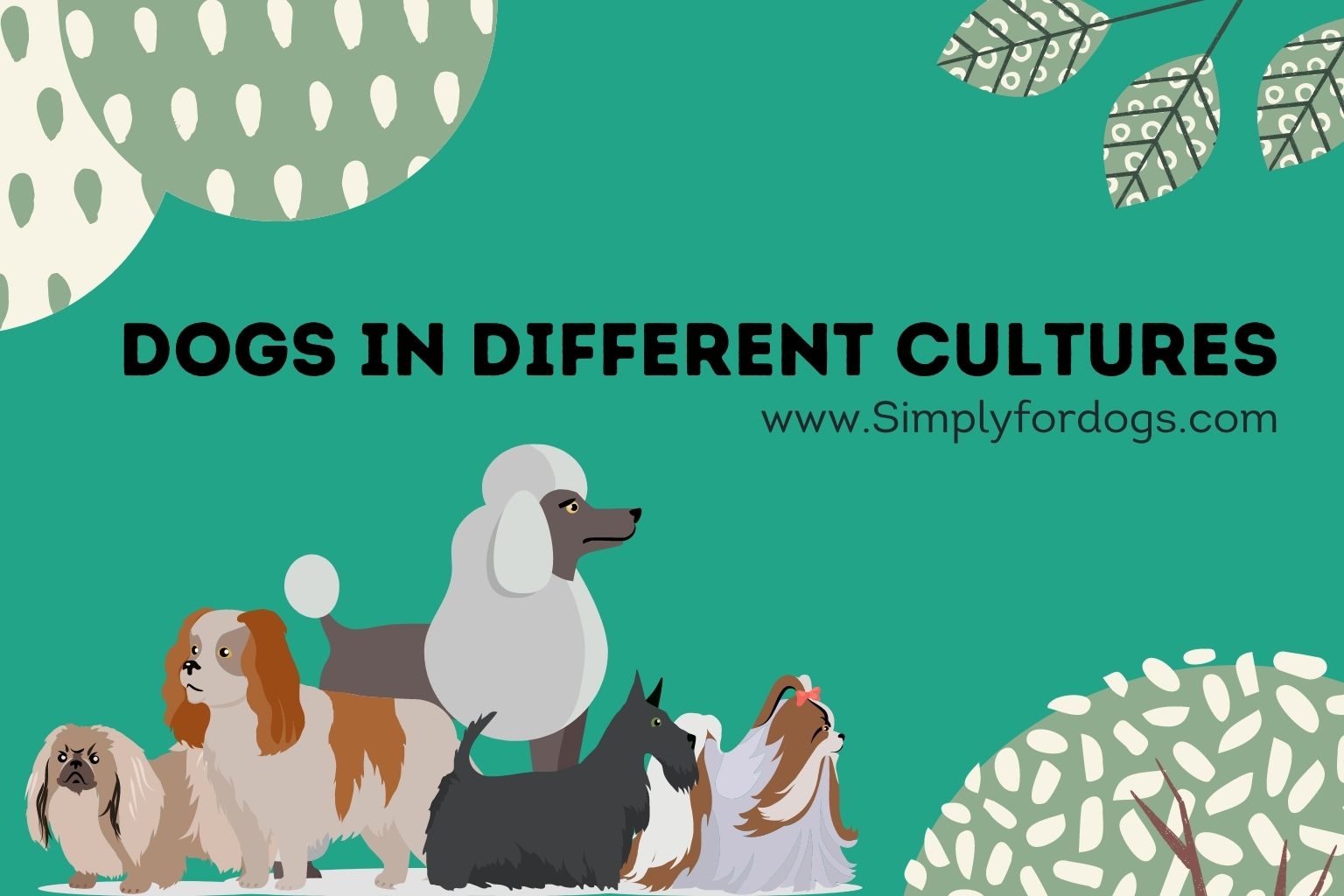 Dogs-different-cultures