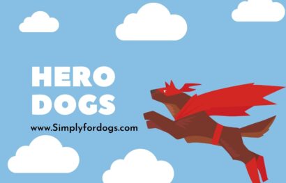 Hero-Dogs