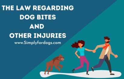 The Law Regarding Dog Bites and Other Injuries