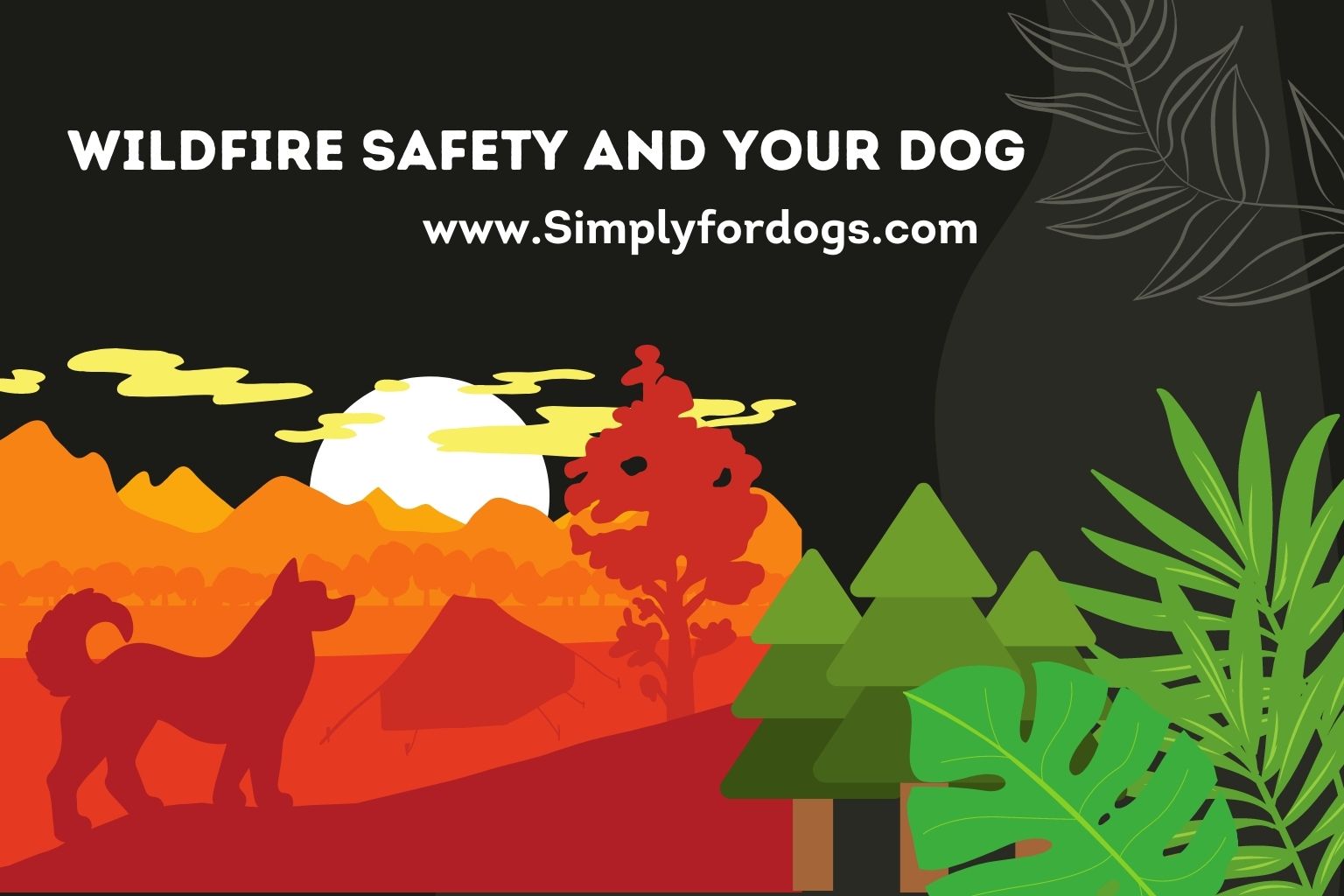 wildfire-safety-and-your-dog