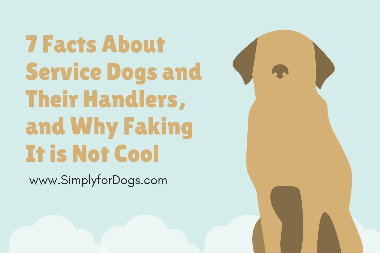 7 Facts About Service Dogs and Their Handlers, and Why Faking It is Not Cool