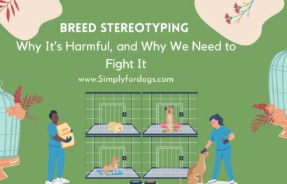 Breed-Stereotyping