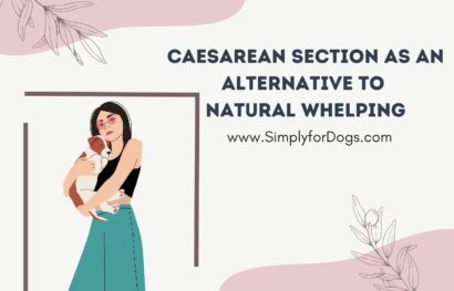 Caesarean Section as an Alternative to Natural Whelping