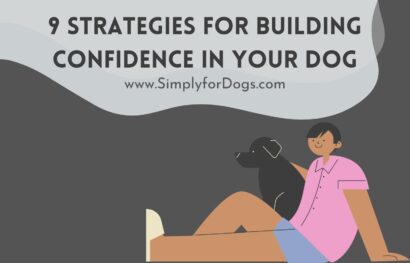 Confidence-in-Your-Dog