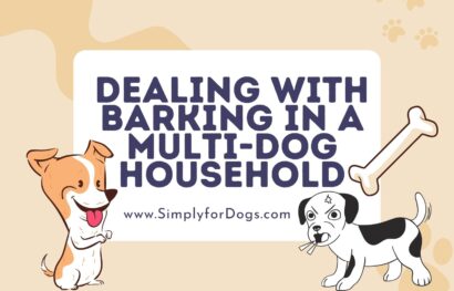 Dealing With Barking in a Multi-Dog Household