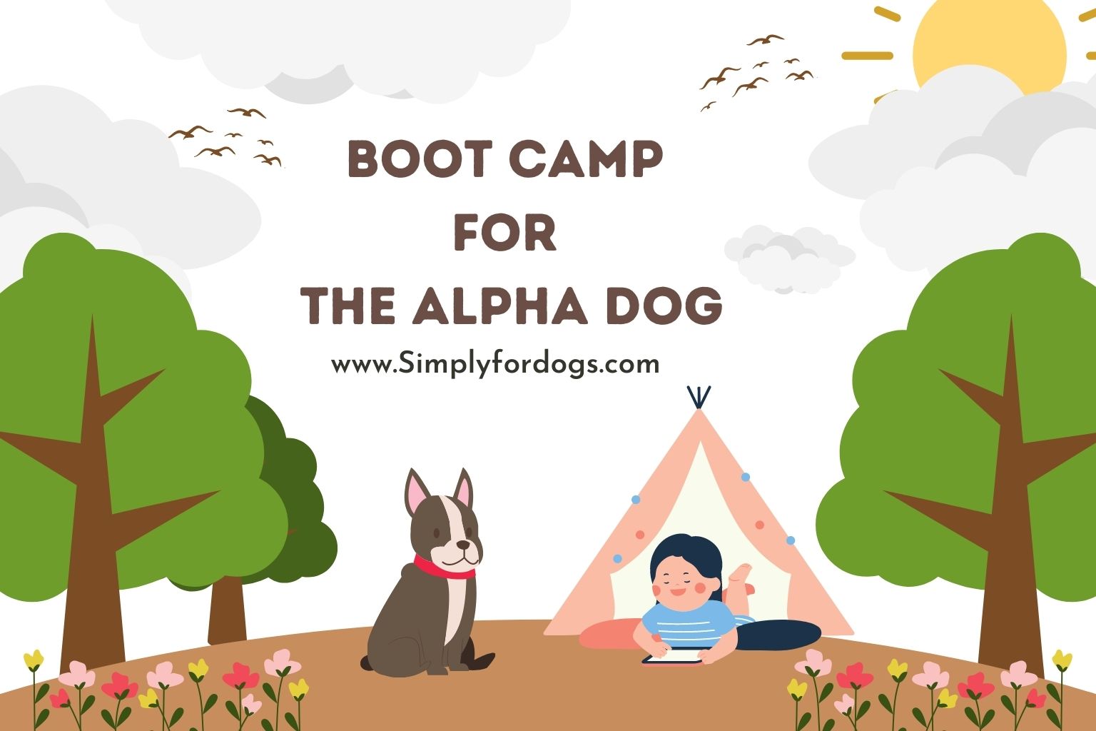 Dog-Boot-Camp