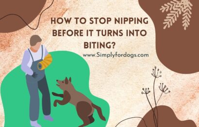 Dog-Nipping